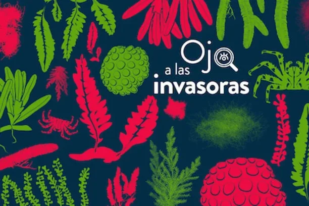 Image for ¡Ojo a las invasoras!