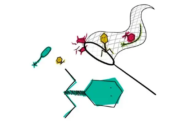 Image for FAGOS CONTRA SUPERBACTERIAS