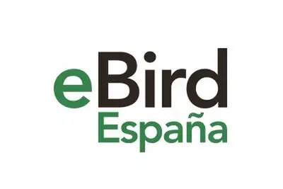 eBird España