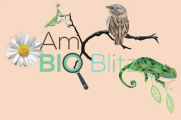 Image for AmbioBlitz UAL