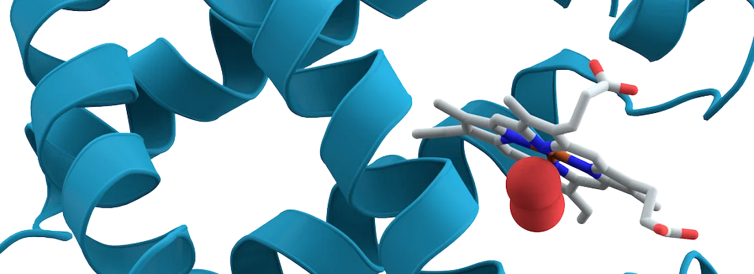 Proteins Mosaic Q Project