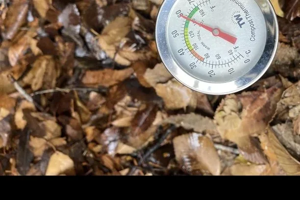 Image for The Inclusive Circular Lab - VII edición