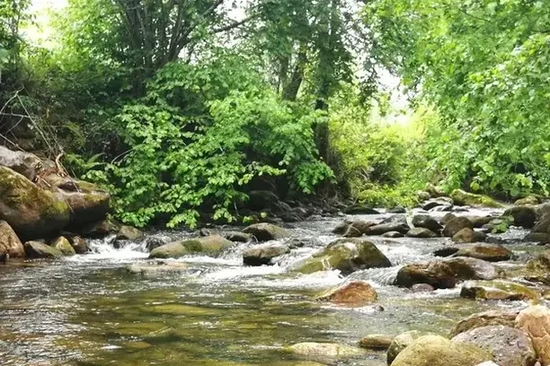 Image for Proyecto Ríos - Cantabria
