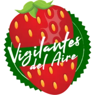 Vigilantes del Aire