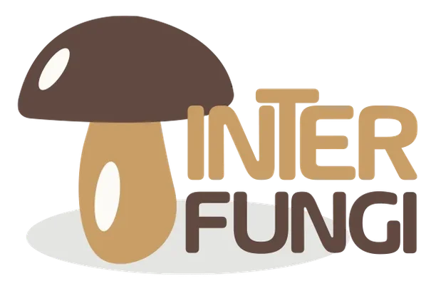 Image for InterFungi.net – Red de observadores intergeneracionales del reino fungi en Aragón