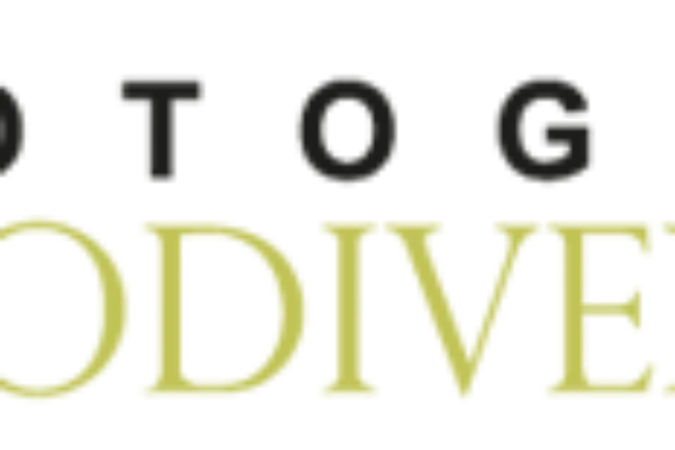 Image for Asociación Fotografía y Biodiversidad