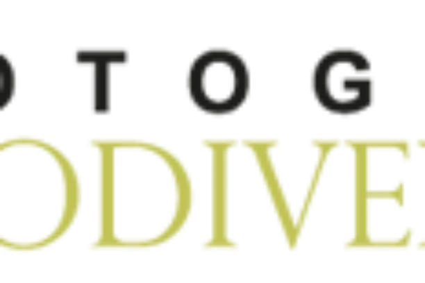 Image for Asociación Fotografía y Biodiversidad