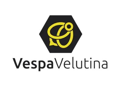Vespa Velutina