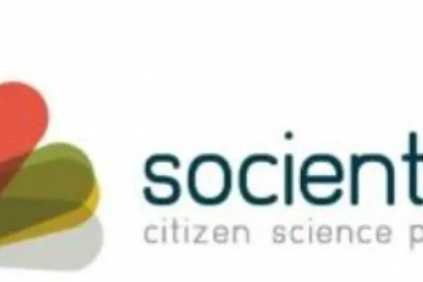 Image for Socientize