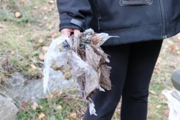 Image for PLASTICØPYR Switch