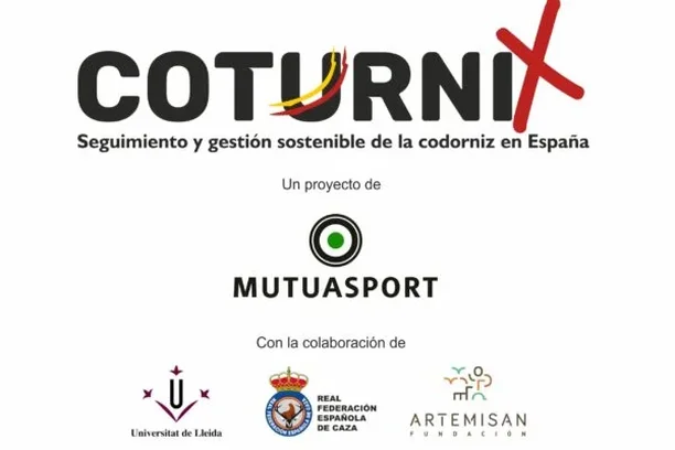 Image for Coturnix. Seguimiento y gestión sostenible de la codorniz