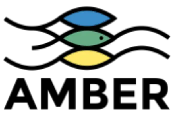 Image for AMBER