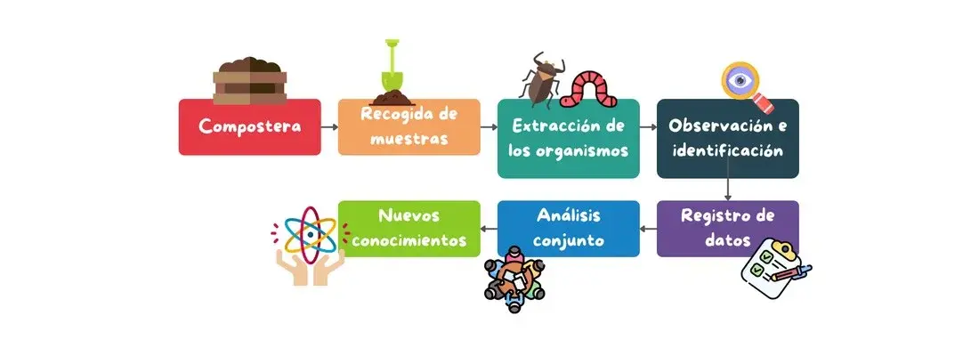 Proyecto BICHOCOMPO: Analizando la mesofauna del compostaje de biorresiduos
