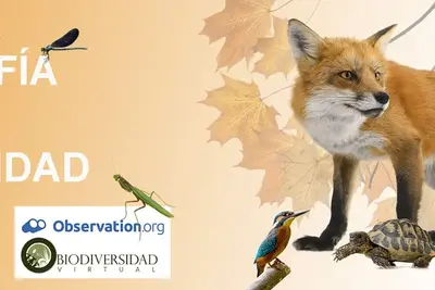 Fotografía y Biodiversidad