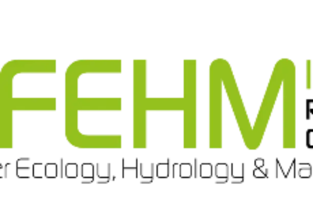 Image for GRUPO FEM