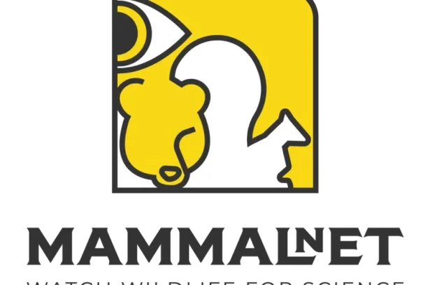Image for MammalNet