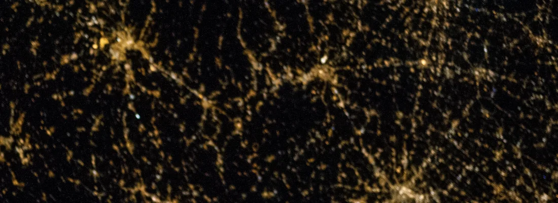 Lost at Night
