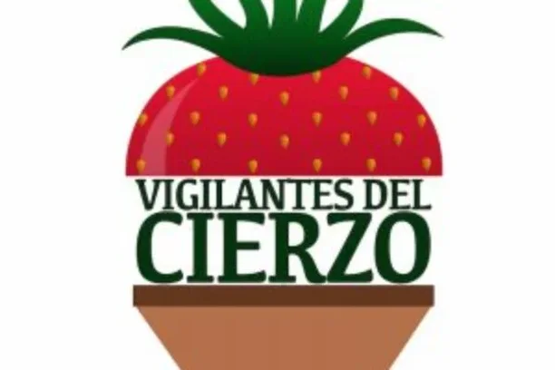 Image for Vigilantes del Cierzo