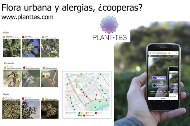 Image for Flora Urbana y alergias, ¿cooperas?  Proyecto Planttes