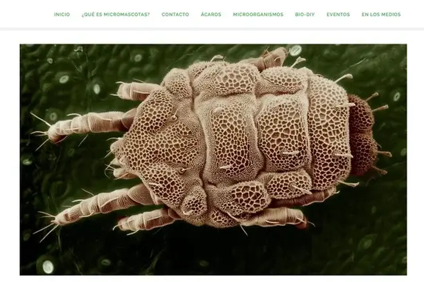 Image for Micromascotas II