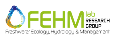 GRUPO FEM