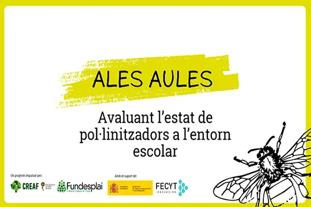 Image for AlasAulas: Evaluando el estado de los polinizadores en el entorno escolar
