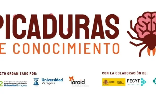 Image for Picaduras de conocimiento