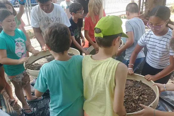 Image for Ciencia ciudadana y sostenibilidad en el territorio de la B30 (CCS-B30)