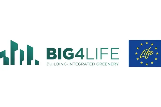 Image for BIG4LIFE