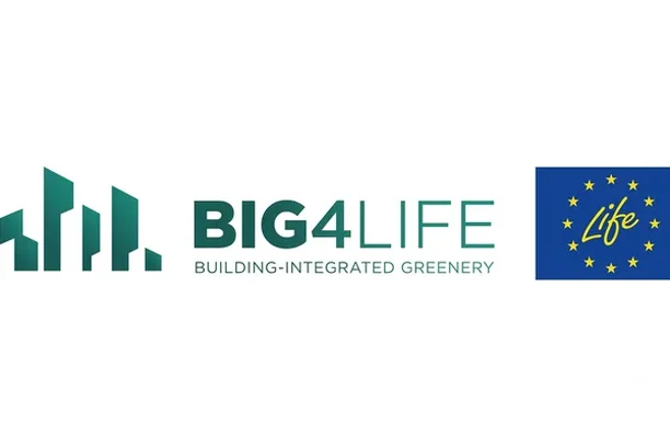 Image for BIG4LIFE