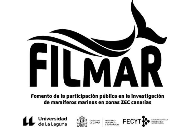 Image for Filmar: Fomento de la participación pública en la investigación de mamíferos marinos en espacios de la red Natura 2000