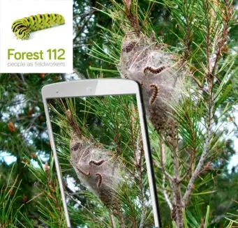 Forest112