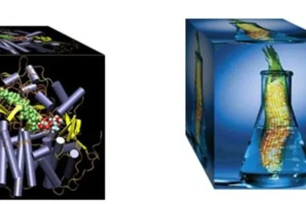 Image for Scientia Blog