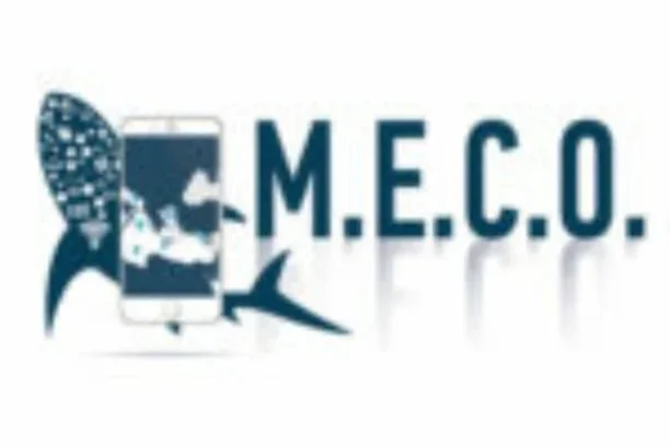 Image for The MECO Project – Tiburones y Rayas del Mediterráneo Occidental