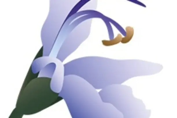 Image for FenoDato