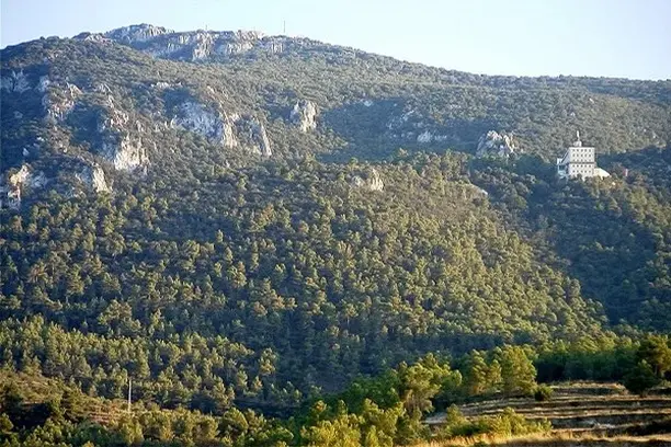 Image for VIU LA FONT ROJA
