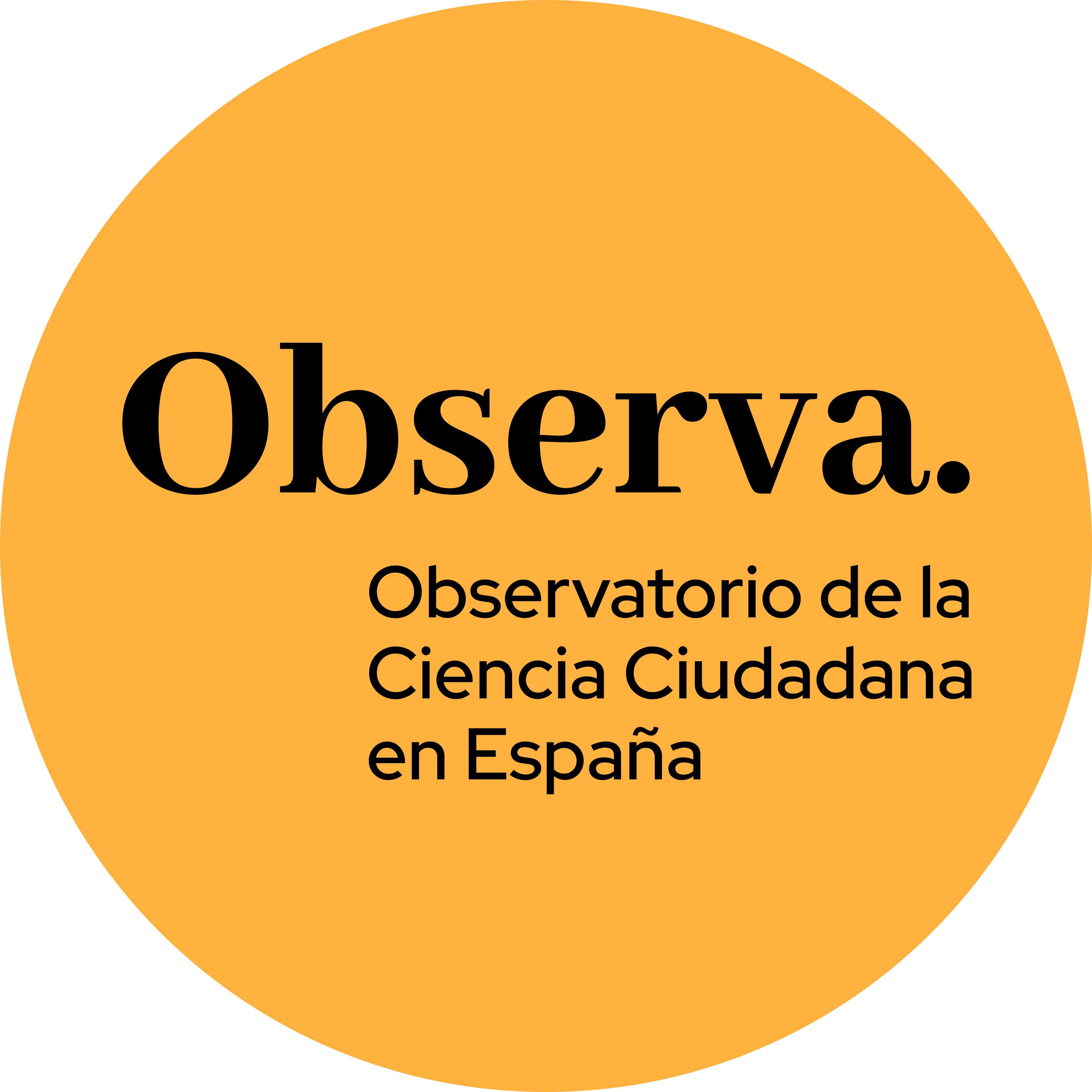 Observatorio Logo